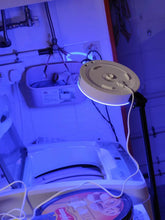 將圖片載入圖庫檢視器 UVC LED 照明+消毒二合一筒燈